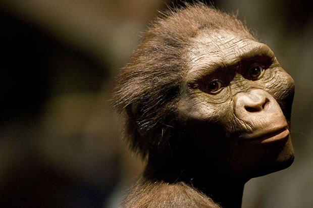 History Trivia Question: Where was Lucy (Australopithecus) found?