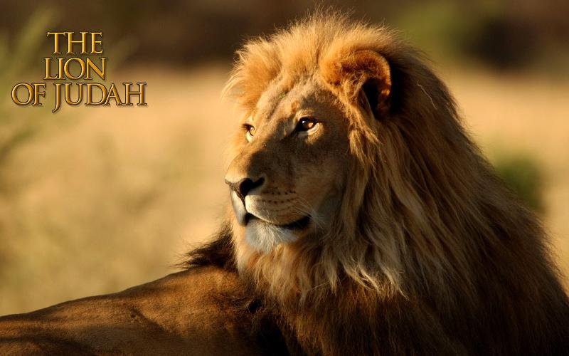 Society Trivia Question: Who was known as the Lion of Judah?