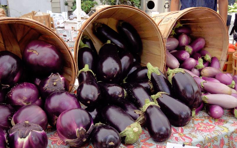Society Trivia Question: What flavonoid and antioxidant are eggplants famous for?