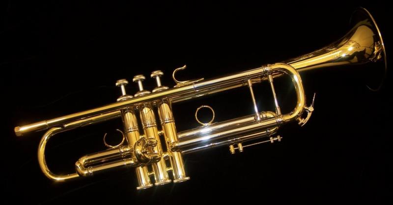 Культура Вопрос: Как назывался предшественник тромбона?