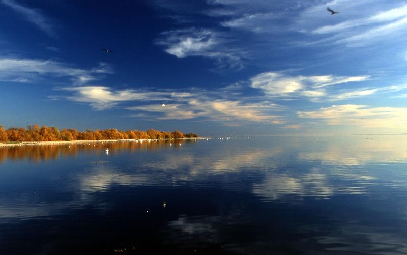 Salton Sea Reflection.jpg
