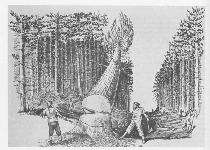 History Trivia Question: What were the tall pines used for in early American history?