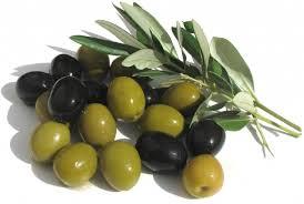 География Вопрос: Маслины и оливки – это плоды одного дерева?