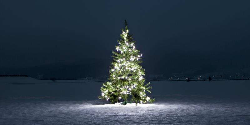  Trivia Question: Which country originated the idea of Christmas Tree?