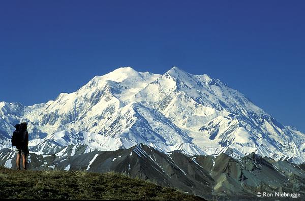 География Вопрос: Какой самый высокий горный пик в США и Северной Америке?