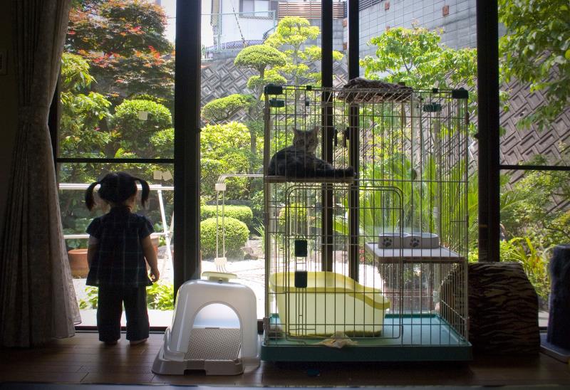 Культура Запитання-цікавинка: Перш ніж увійти в будинок в Японії, ви повинні спочатку __________.