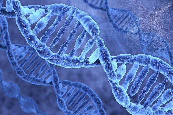 Наука Запитання-цікавинка: Як по-науковому розшифровується абревіатура ДНК?