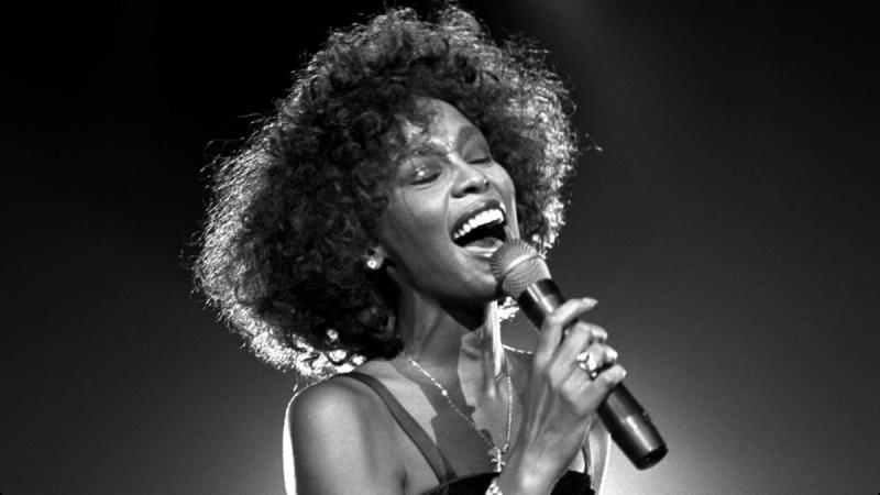 Culture Trivia Question: Who discovered Whitney Houston as a singer?