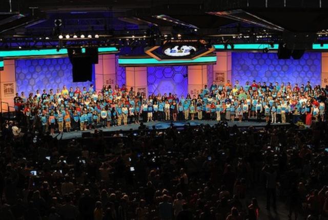 Culture Trivia Question: In 2015, what were the last words given and spelled correctly at the Scripps National Spelling Bee?