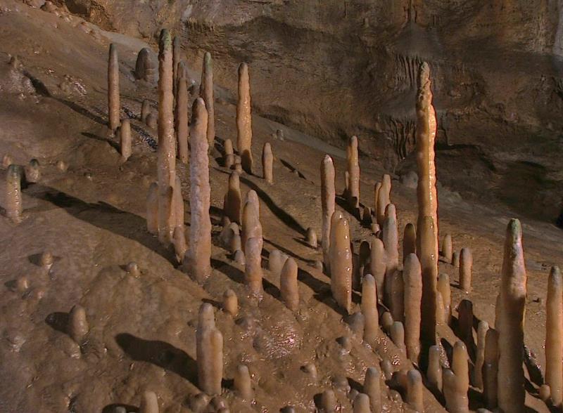 Наука Вопрос: Как называются минеральные образования, растущие в виде конусов со дна пещер?