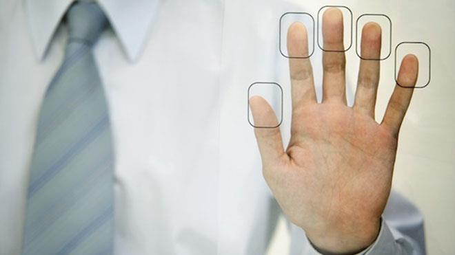 Наука Вопрос: Какое животное имеет такие же отпечатки пальцев, как и человек?