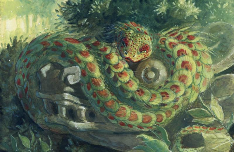 История Вопрос: Кому обязано своим именем древнее ацтекское божество Кетцалькоатль ("пернатый змей")?