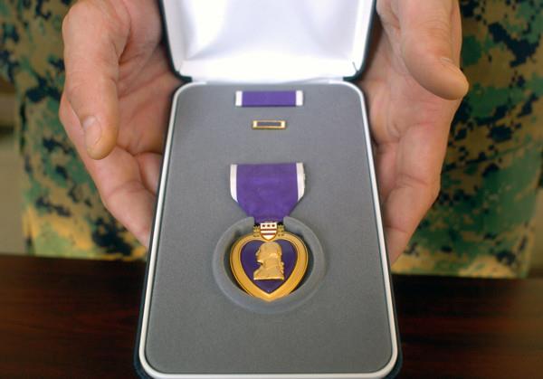 История Вопрос: "Пурпурное сердце" это военная медаль США. Имелись ли в истории американских вооруженных сил случаи награждения этой медалью животных?