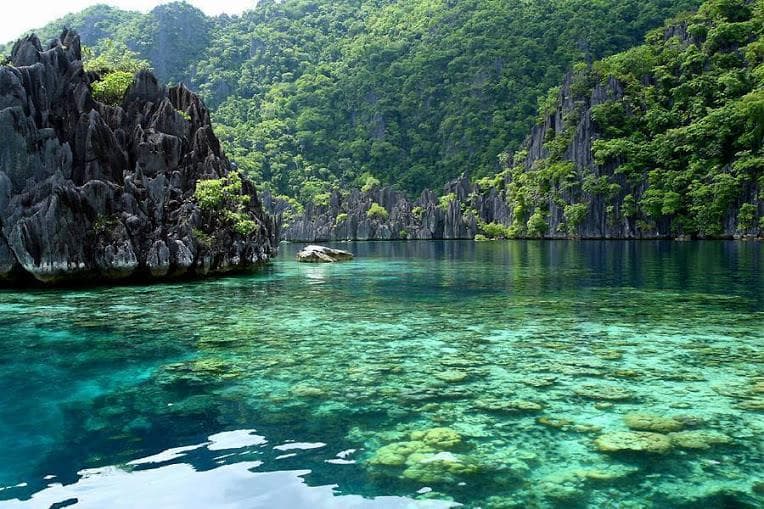 География Вопрос: Государство Филиппины занимает Филиппинские острова, являющиеся частью Малайского архипелага. А какое количество островов (примерно) входит в состав Филиппин?