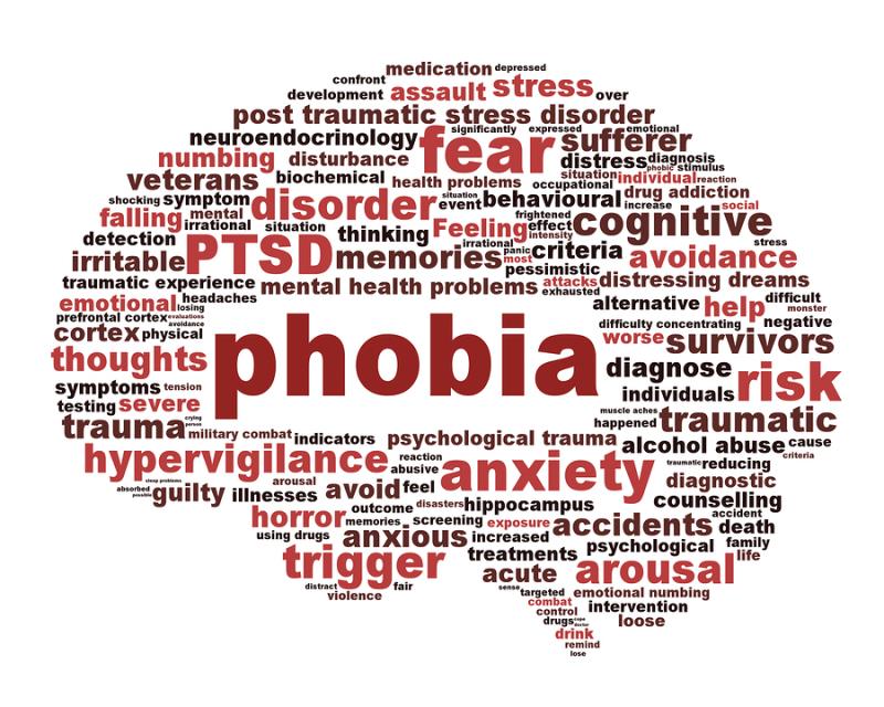 Society Trivia Question: Mysophobia is a fear of what?