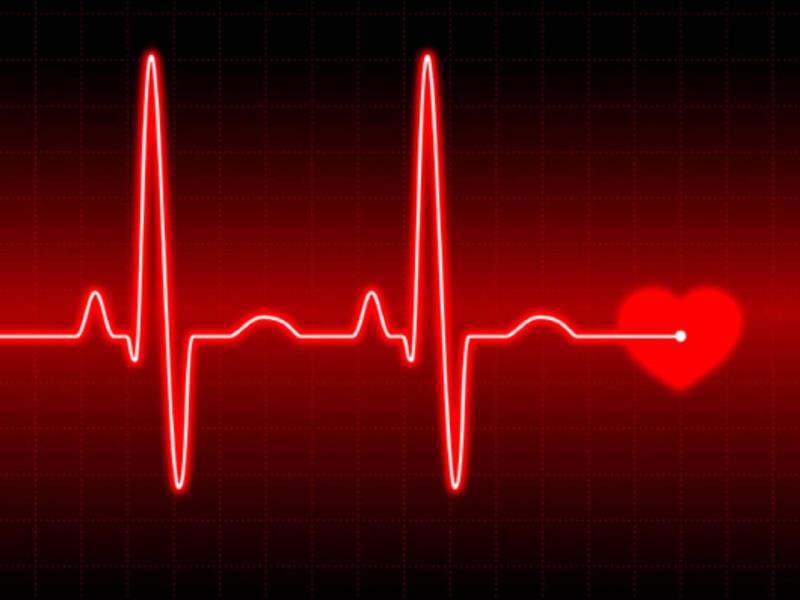 Наука Вопрос: Отдыхает ли когда нибудь наше сердце?