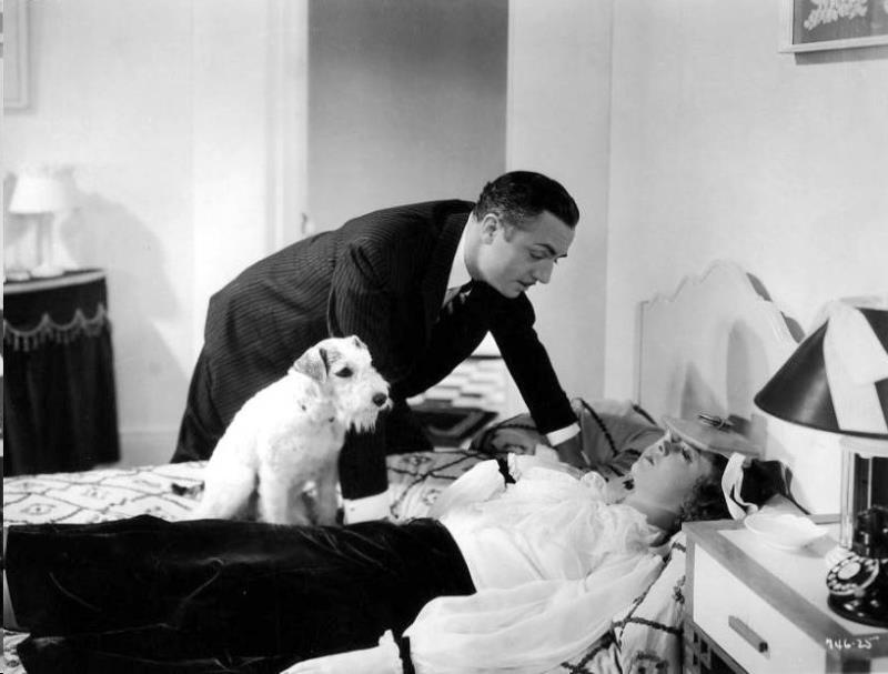 Movies & TV Trivia Question: What is the name of the dog in the Thin Man movie?