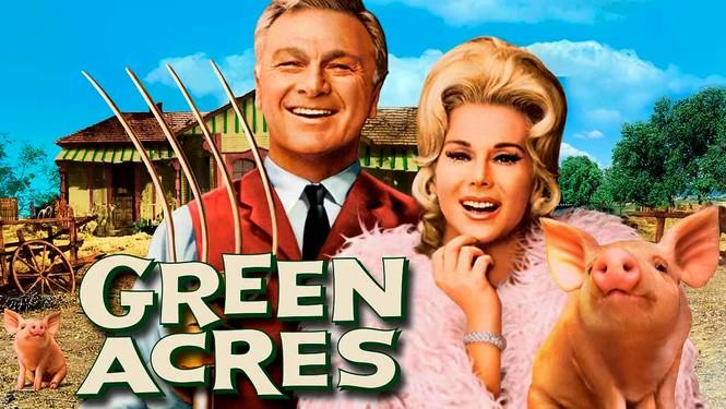 Movies & TV Trivia Question: What was the name of the pet pig owned by Mr. and Mrs. Ziffel on Green Acres?