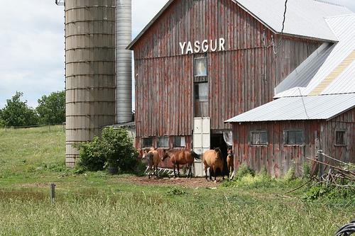 Society Trivia Question: Which festival was held at Max Yasgur's dairy farm during three days in 1969?