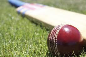 Sport Trivia Question: Who has bowled the fastest ball in international cricket?