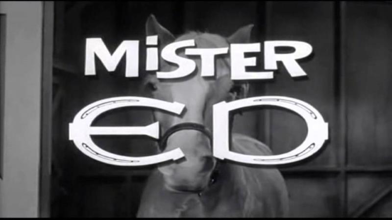 Movies & TV Trivia Question: Who provided the spoken voice for Mr. Ed, the talking horse?