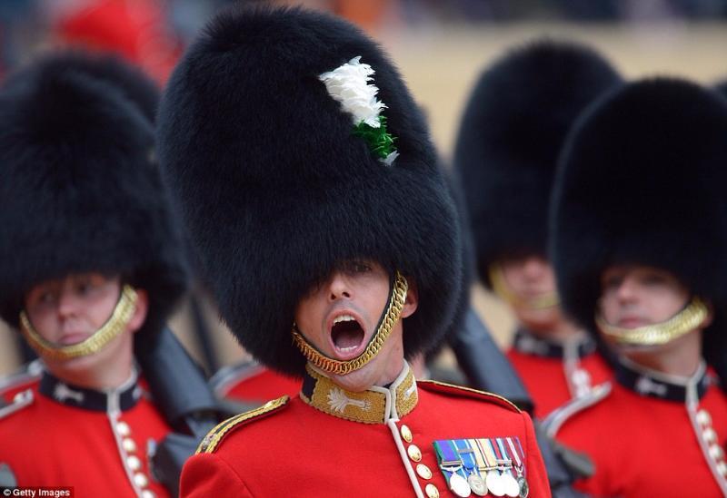 Society Trivia Question: The picture shows a member of one of the infantry regiments of the Household Division of the British Army. From which of these four regiments?