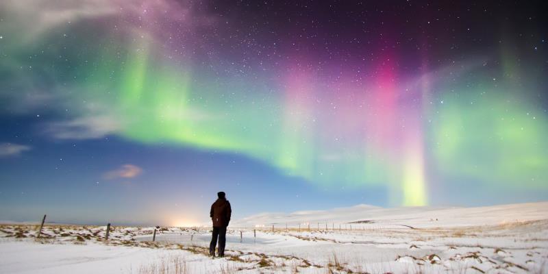 What Is The Scientific Name For The Northern Lights