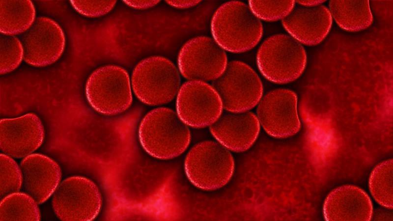 Наука Вопрос: Является ли кровь токсичной (если ее пить)?