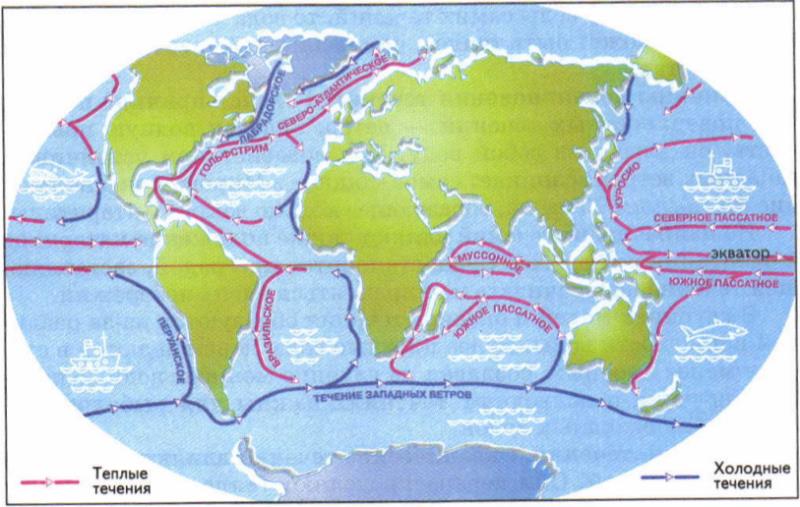 География Вопрос: Какое из перечисленных течений является самым мощным океаническим течением в мире?