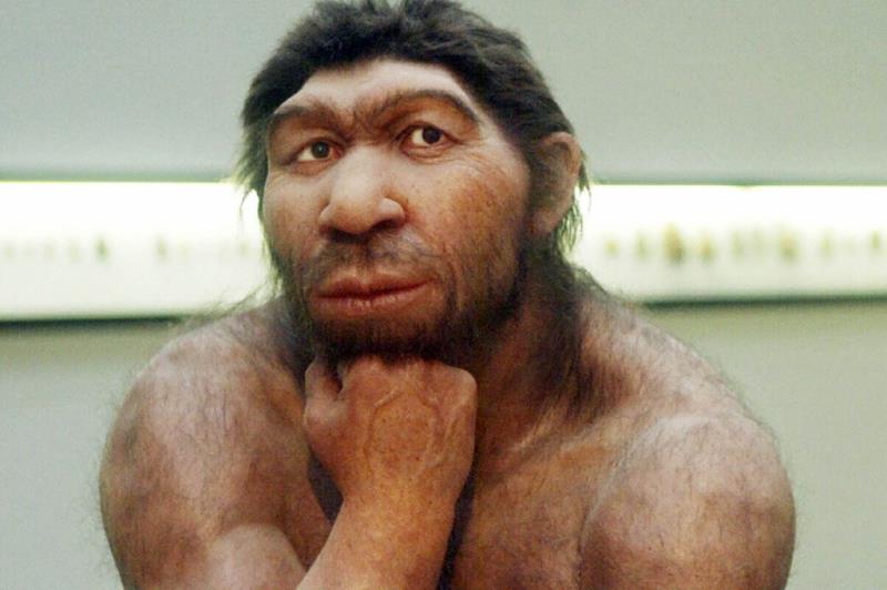 Наука Вопрос: Установлено, что от 1 до 4 % генома современного человека (не-африканца) унаследованы от неандертальцев. Какой генетический признак из перечисленных был унаследован нами, по мнению ученых, от наших неандертальских предков?