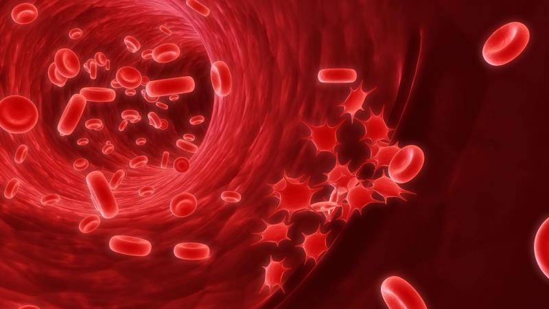 Наука Вопрос: Верно ли утверждение, что все артерии несут кровь от сердца к тканям и органам организма, а все вены возвращают кровь от тканей и органов обратно к сердцу?