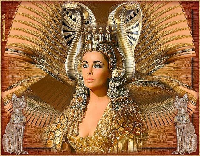 История Вопрос: Всем известная царица Клеопатра была не единственной царицей с таким именем в эллинистической династии египетских Птолемеев. Какой же по счету царицей с таким именем она была?