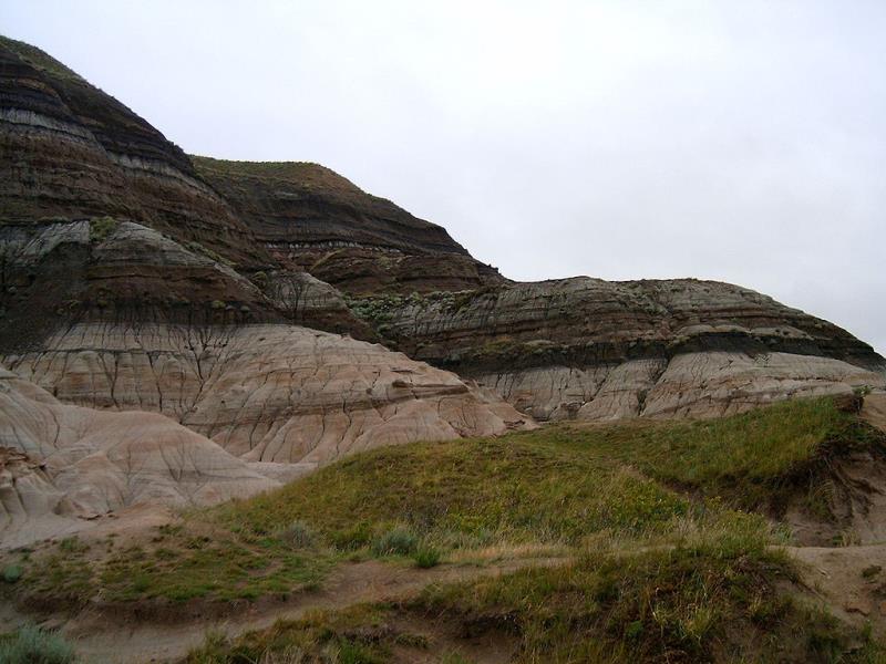 History Trivia Question: What is the Cretaceous–Paleogene (K–Pg) boundary?