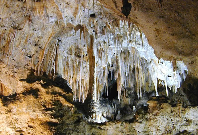 Geography Trivia Question: Where is Carlsbad Cavern National Park located?