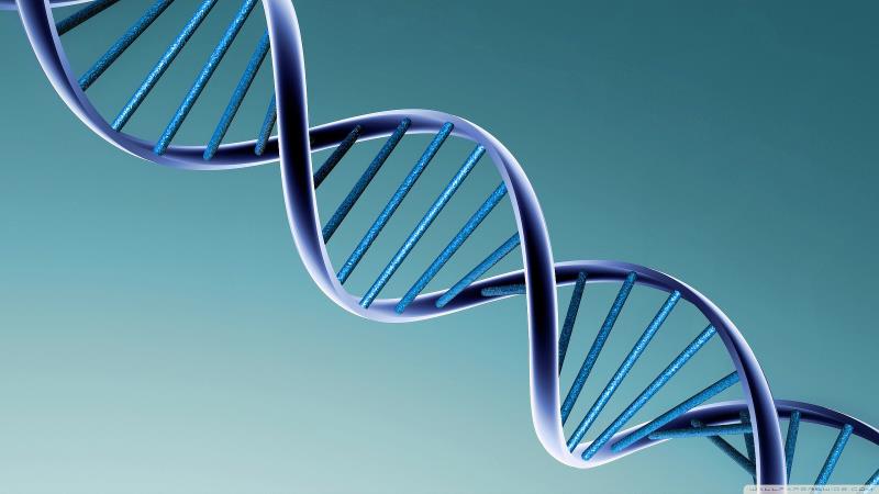 Science Trivia Question: Who developed DNA fingerprinting (profiling)?