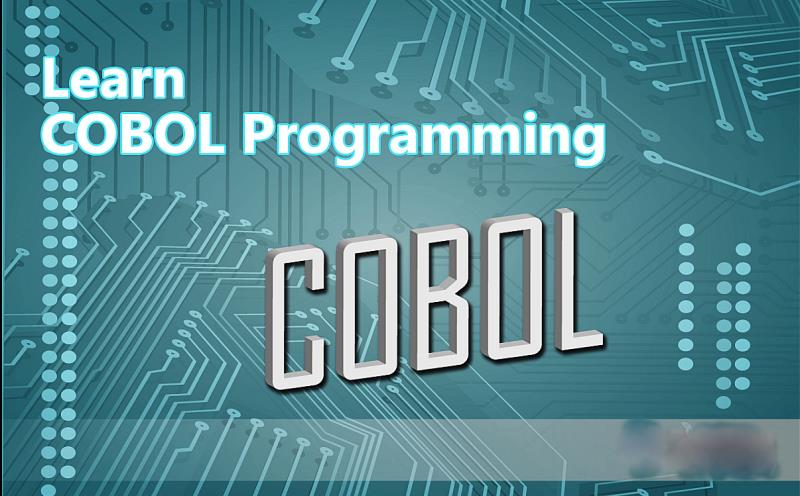 Science Trivia Question: Who was the creator of COBOL as a computer language?