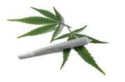 Science Trivia Question: Glaucoma is among one of the most common medical conditions treated with medicinal marijuana.