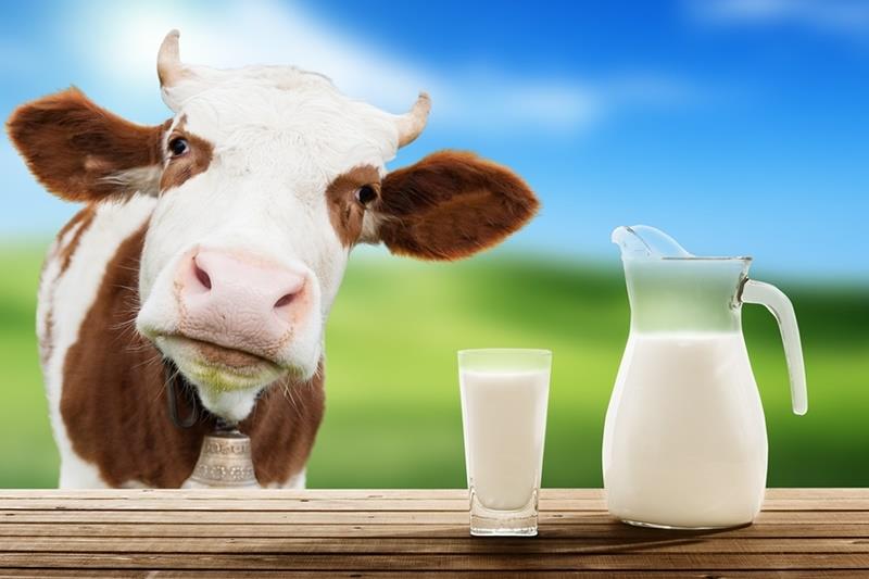 География Вопрос: Какая страна является по итогам 2015 года крупнейшим в мире производителем молока (от всех видов млекопитающих)?