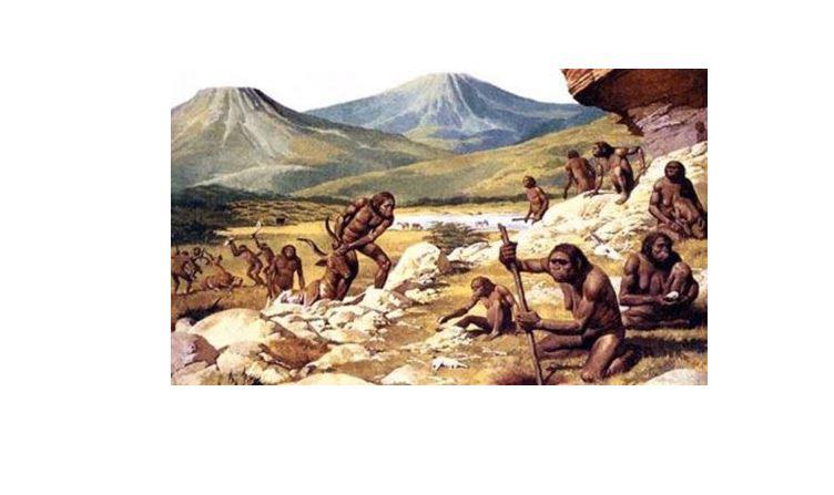 Наука Вопрос: Верно ли, что первые останки древнего  австралопитека нашли в Австралии?