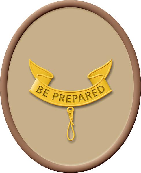Society Trivia Question: What US Boy Scout rank is represented by this image?