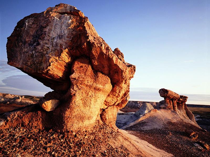 Geography Trivia Question: Where in the U.S. is the Petrified Forest National Park located?