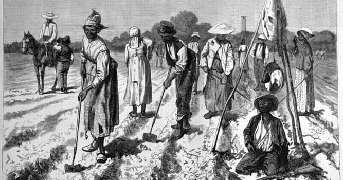 История Вопрос: Когда в Северной Америке был принят первый закон, запрещающий рабство?