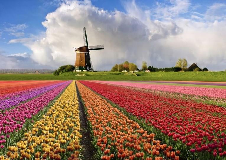 География Вопрос: Мы все привыкли считать, что Нидерланды - исключительно низменное и равнинное государство. Но так ли это на самом деле - на какой высоте над уровнем моря находится самая высокая точка на территории Королевства Нидерландов?