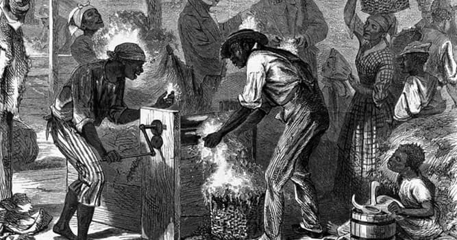 История Вопрос: В каком году  было окончательно (в юридическом контексте) запрещено рабство на всей территории США?