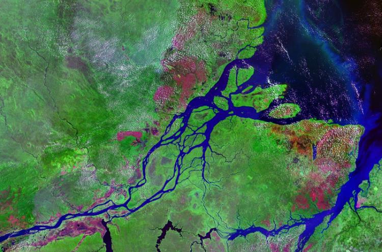 География Вопрос: Зависит ли наличие и размер дельты реки от длины самой реки?