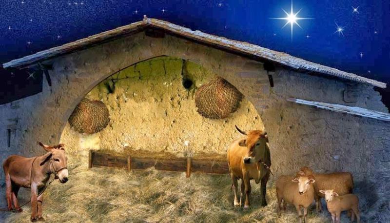Історія Запитання-цікавинка: Згідно з Євангеліями, Ісус народився в місті Віфлеєм. А де знаходився Віфлеєм?