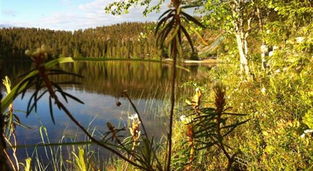 Geographie Wissensfrage: Wo liegt Karelien?