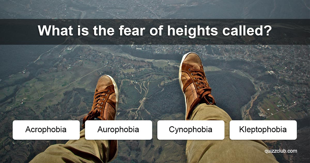 what-is-the-fear-of-heights-called-trivia-answers-quizzclub