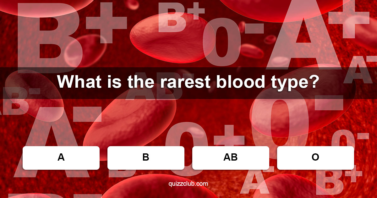 what-is-the-rarest-blood-type-trivia-answers-quizzclub