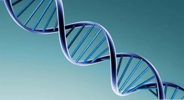 nauka Pytanie-Ciekawostka: Kto odkrył podwójną helisę struktury DNA?
